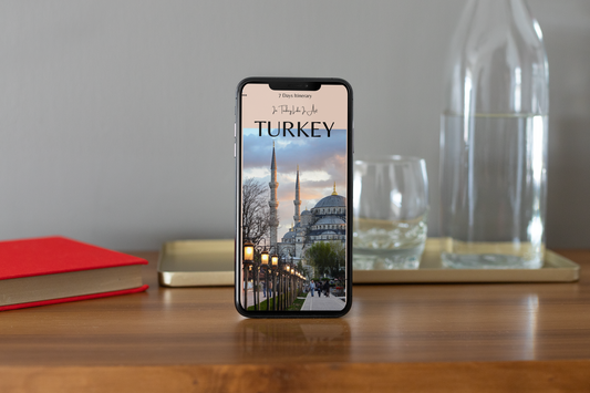 travel plan